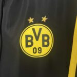 BVB 1